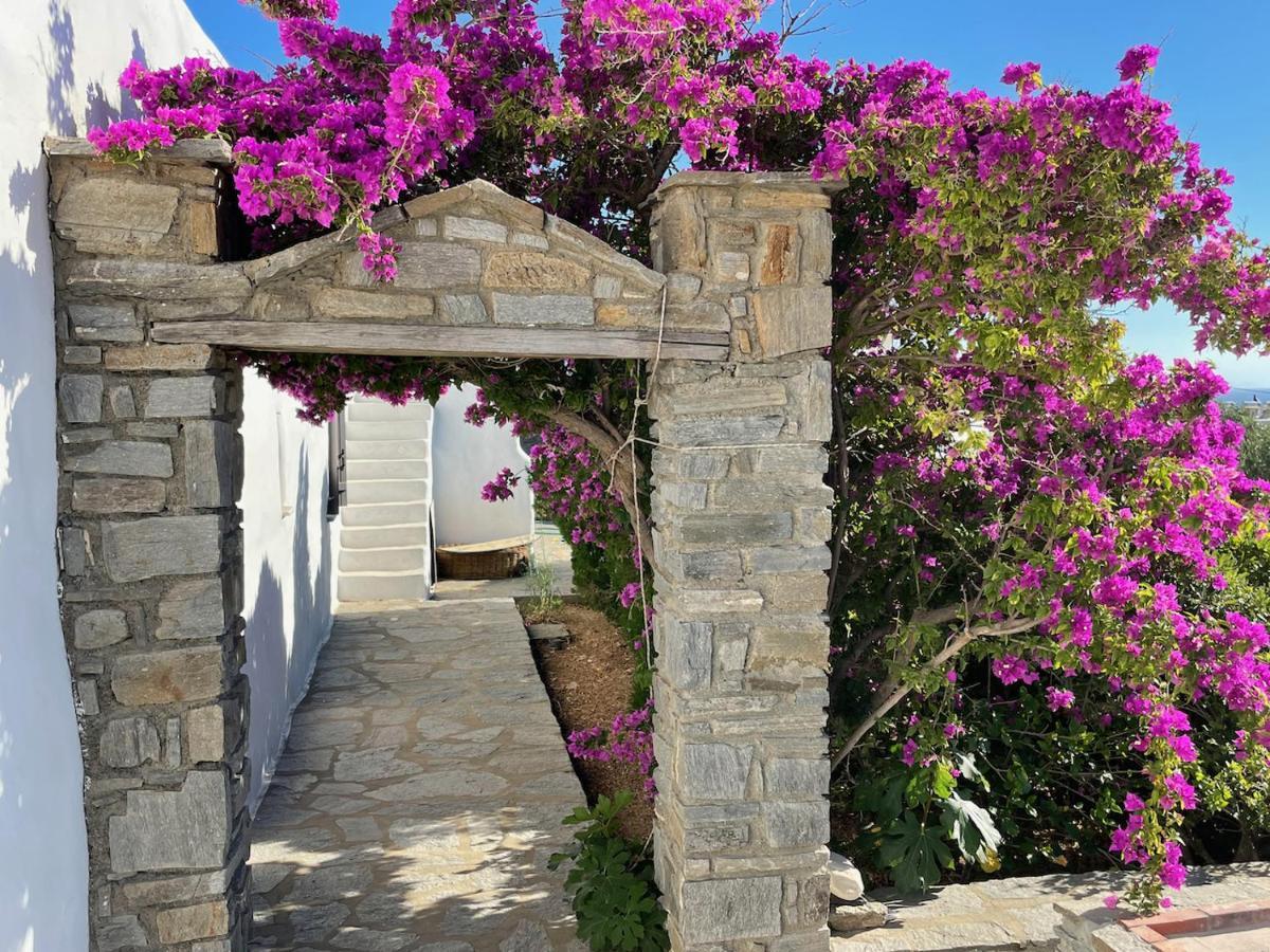 Villa Zeus - Parikia - Paros - Grece Krotiri Exterior foto